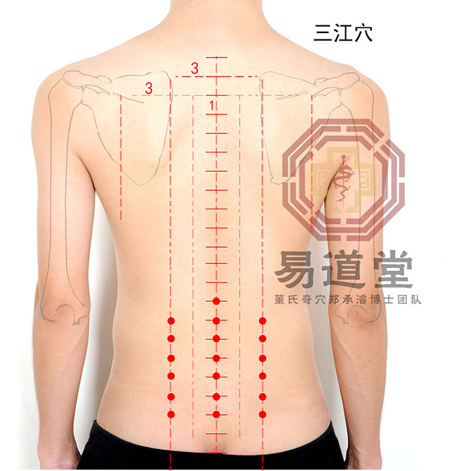 三江穴_后背部位_2018年第五届董氏奇穴针灸国际论坛