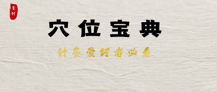 万人疯抢的穴位宝典，一分钟轻松掌握！