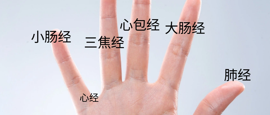 头痛、便秘？每天捏手指2分钟，好处不输“全身按摩”！