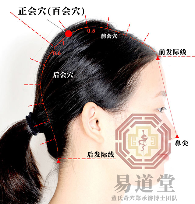 正会穴