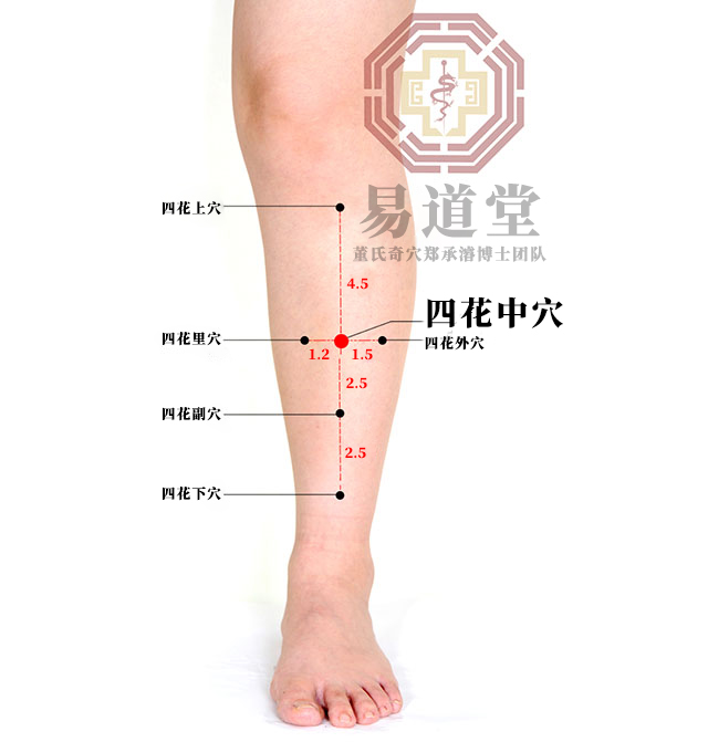 四花中穴