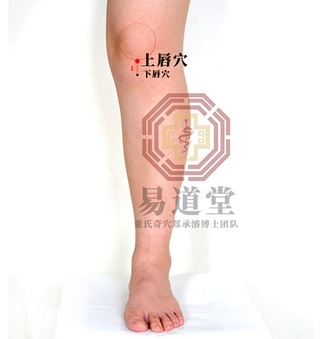 上唇穴