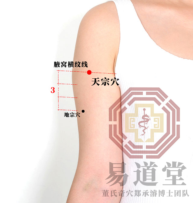 天宗穴