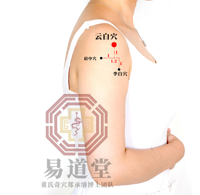 云白穴
