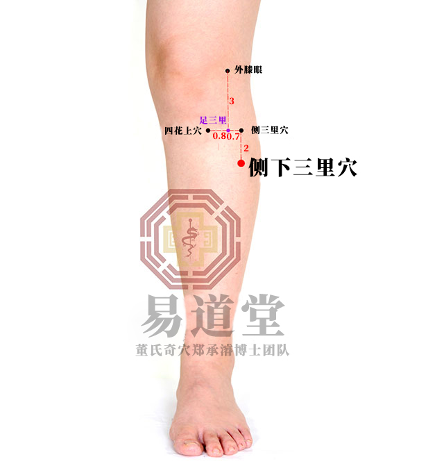 侧下三里穴