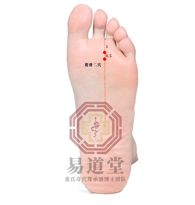 花骨二穴