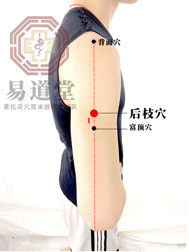 后枝穴