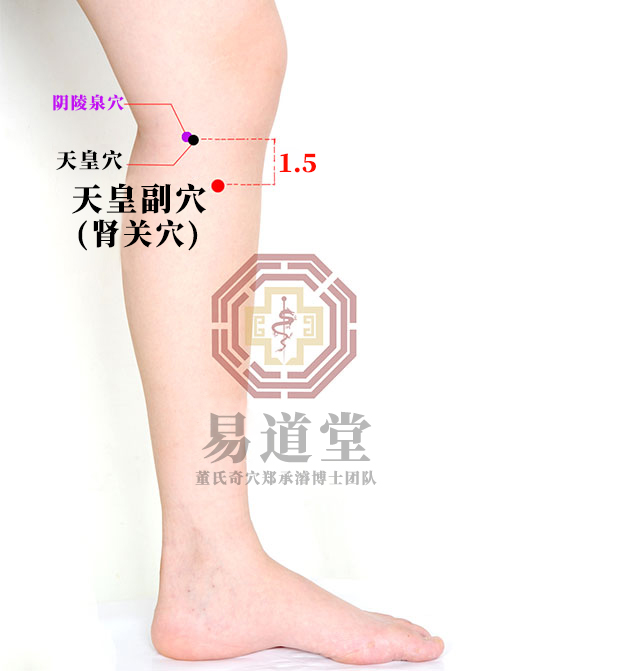 天皇副穴