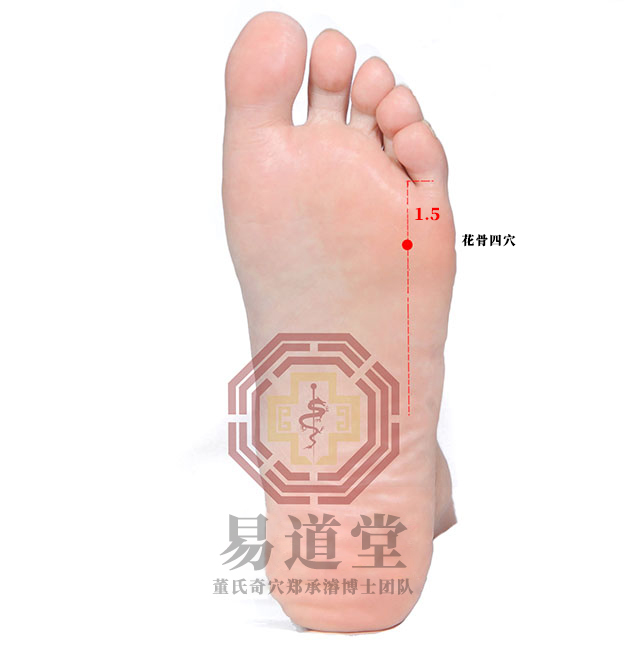 花骨四穴