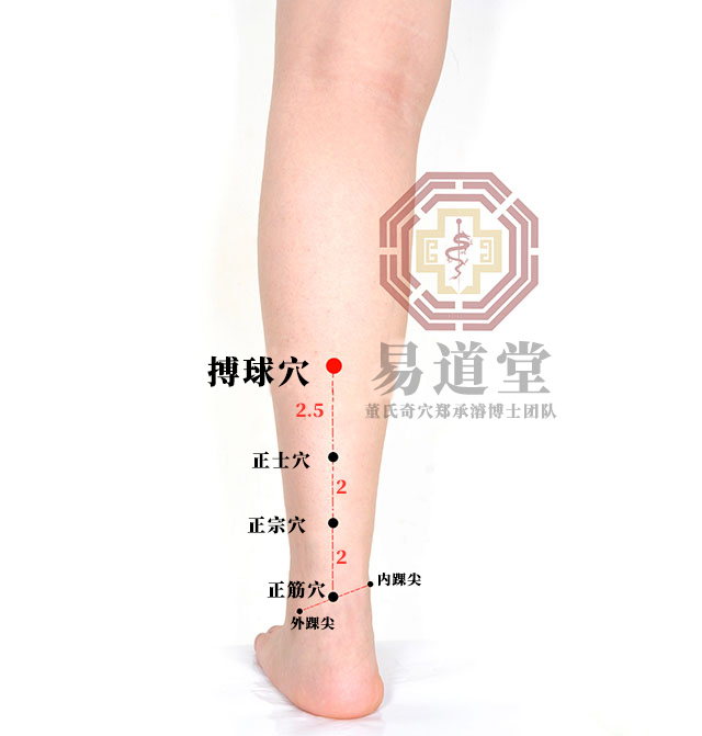 搏球穴