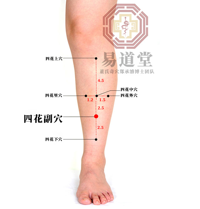 四花副穴