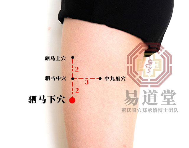 驷马下穴