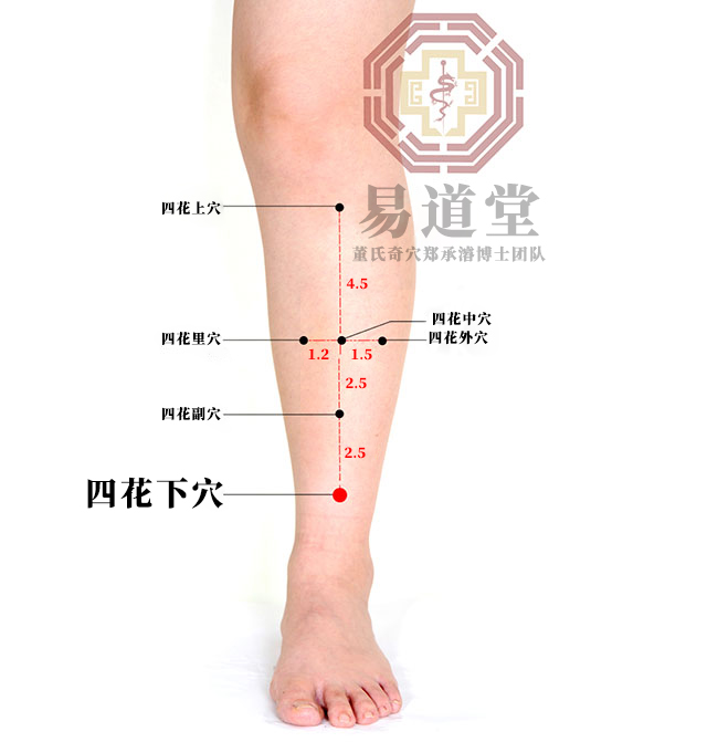 四花下穴