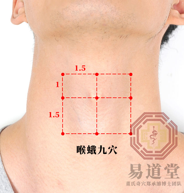 喉蛾九穴