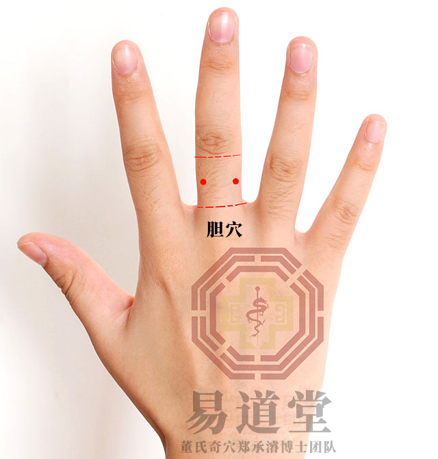 胆穴