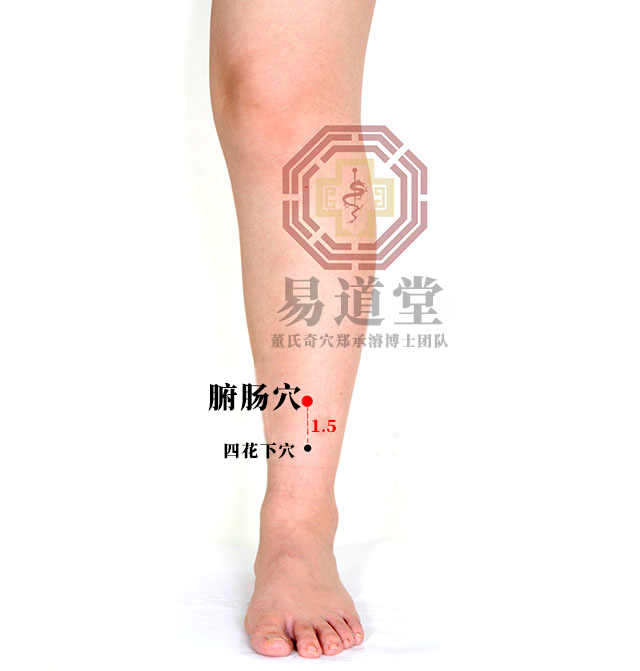 腑肠穴