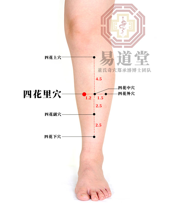四花里穴