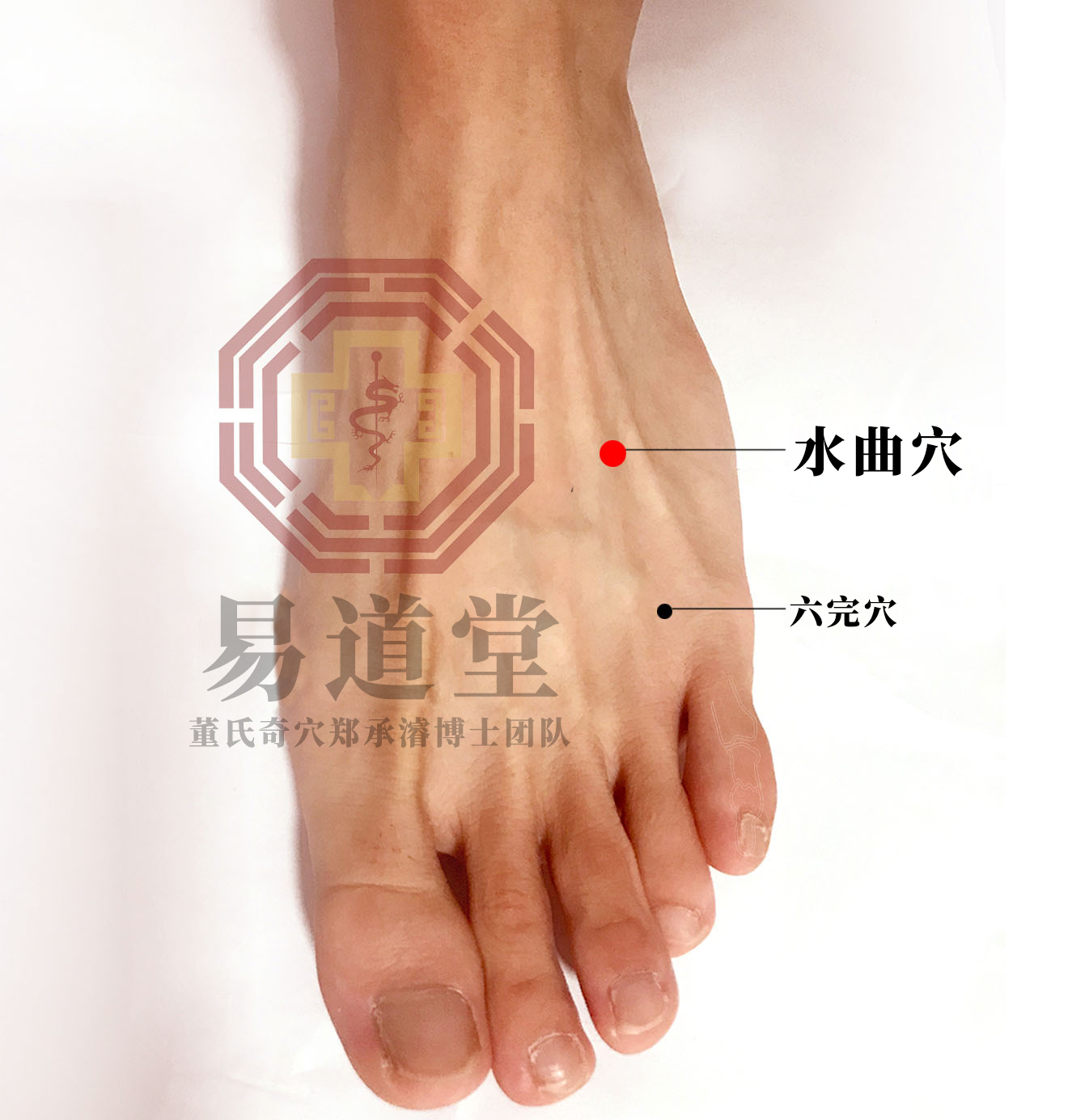 水曲穴