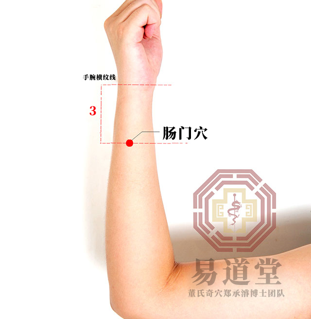 肠门穴
