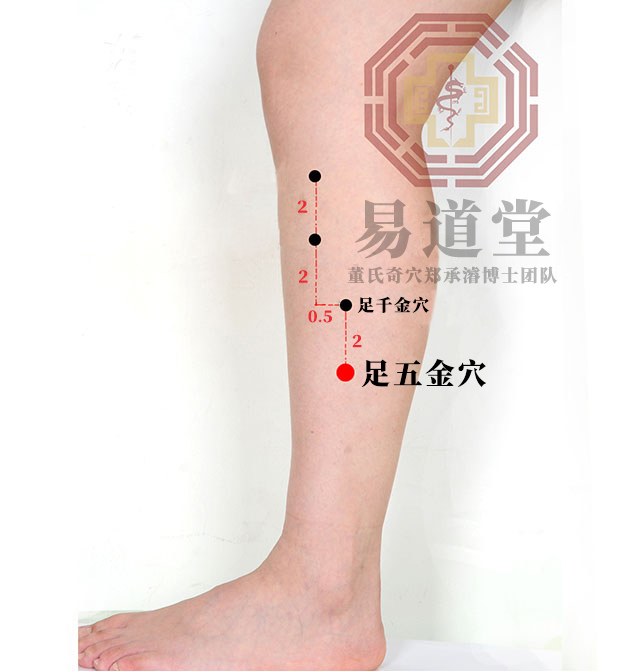 足五金穴
