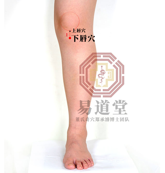 下唇穴