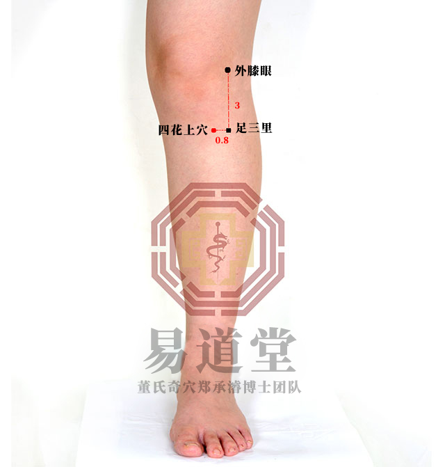 四花上穴