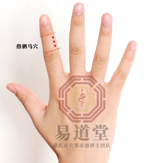 指驷马穴