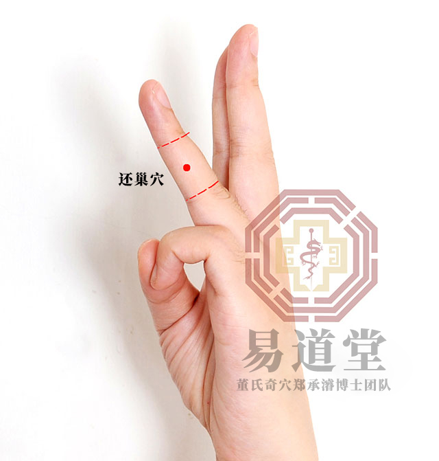 还巢穴