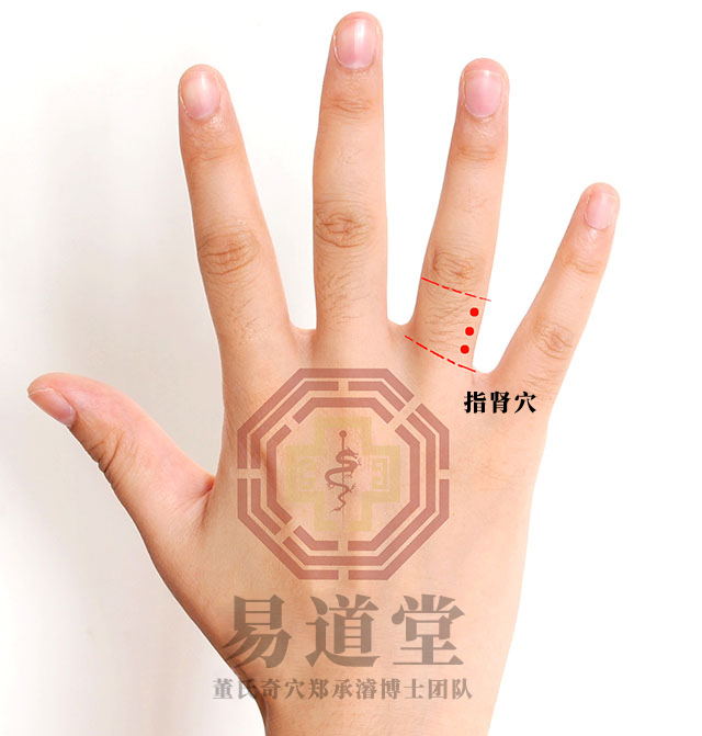 指肾穴