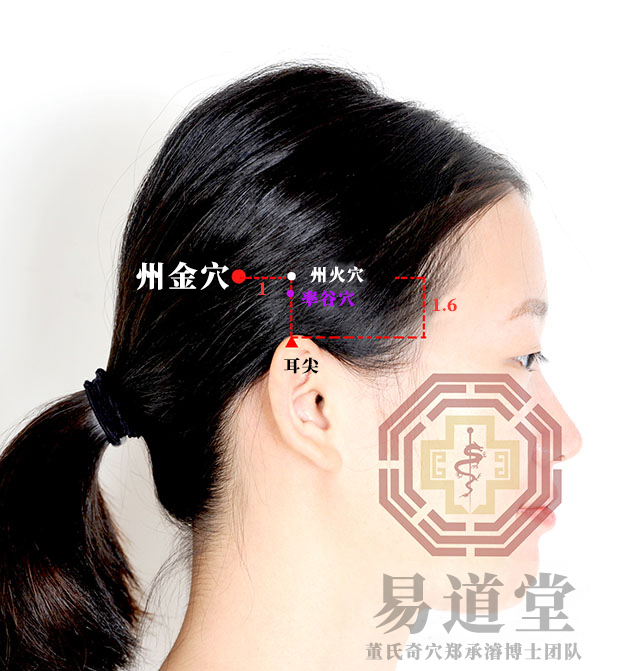 州金穴