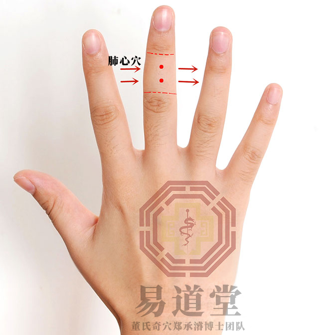 肺心穴