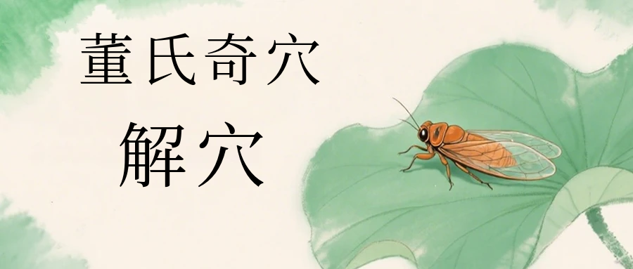 扎针后气血错乱，下针后起包疼痛？看看董氏奇穴“解穴”的运用！